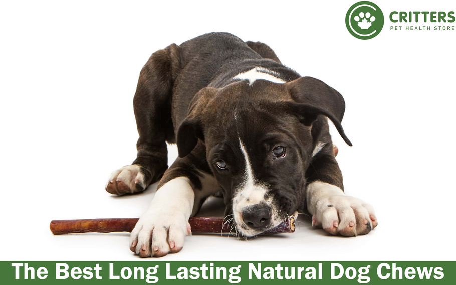 The Best Long Lasting Natural Dog Chews
