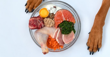 The Benefits of Raw Pet Food: Why It Could Be the Right Choice for Your Pet