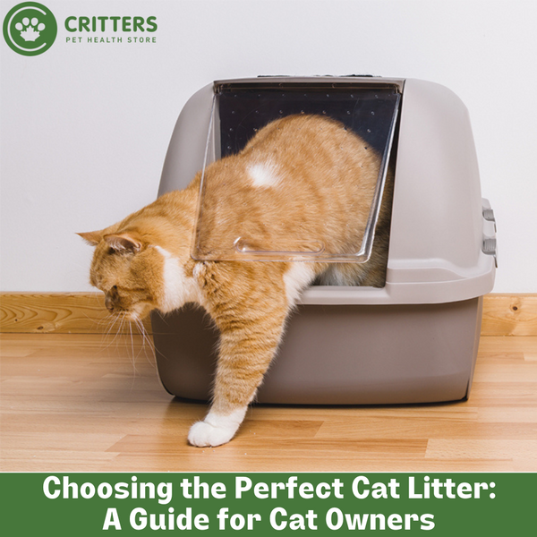 Choosing the Perfect Cat Litter: A Guide for Cat Owners