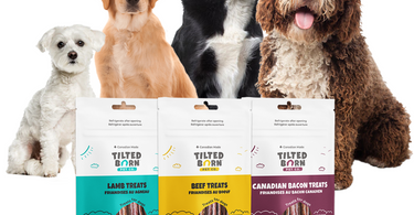 Why Tilted Barn Dog Treats Should Be Your Pup's New Favorite Snack