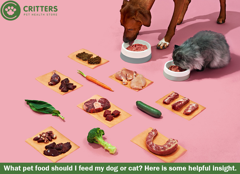 What is the best food to feed my dog or cat? How to choose a healthy pet food!