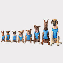 Load image into Gallery viewer, GF Pet Elasto-Fit Ice Vest Dog Cooling Vest