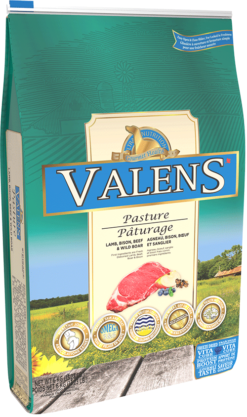 Valens Pasture Lamb, Bison, Beef & Wild Boar Dog Food Critters Pet