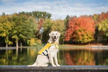 Load image into Gallery viewer, GF Pet Life Jacket Yellow for Dogs