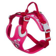 Load image into Gallery viewer, Hurtta Weekend Warrior Ruby Dog Harness