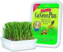 Load image into Gallery viewer, Cat A&#39;Bout Cat Grass Plus Growing Kit 150g
