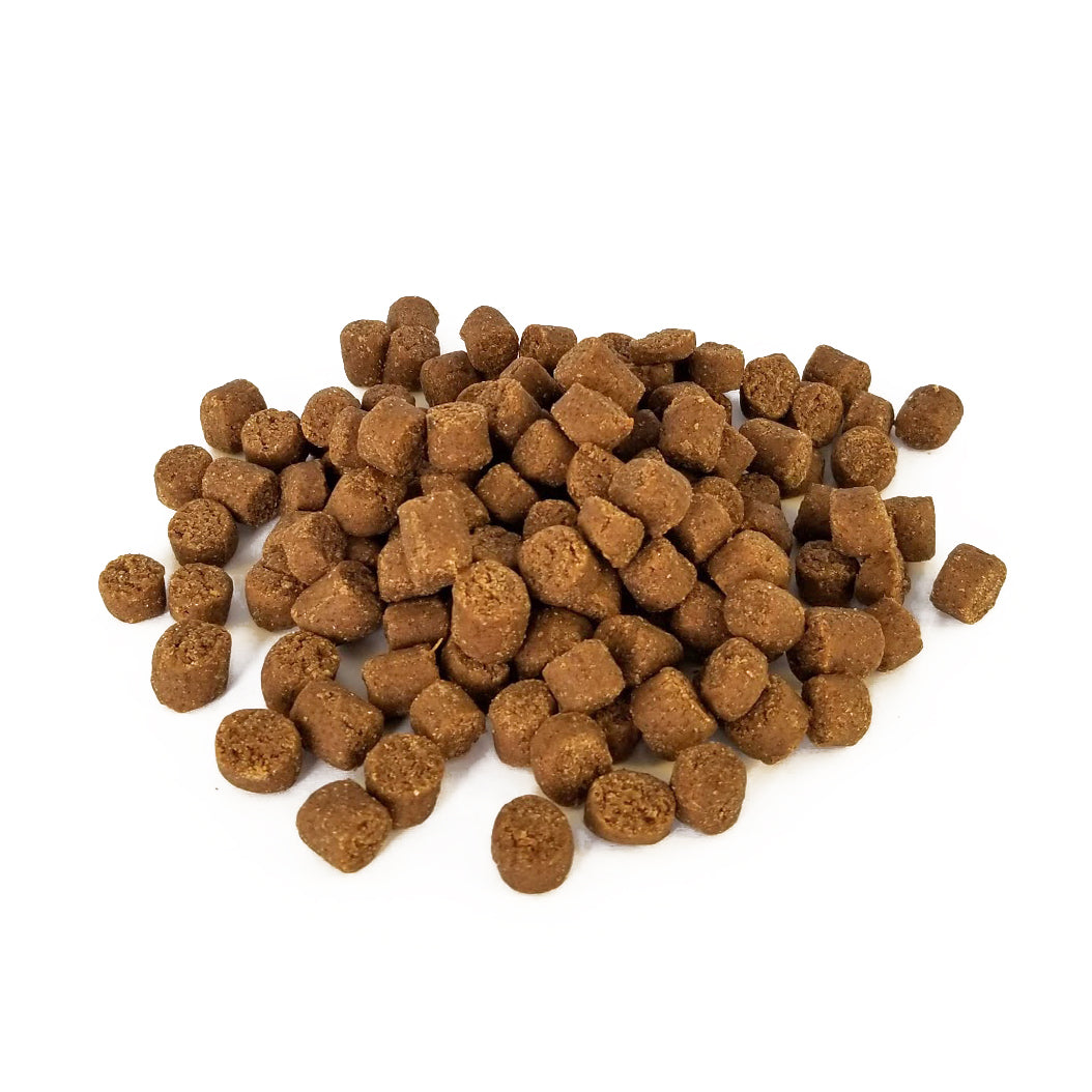 Aura Soft Bites Salmon Dog Treats Critters Pet Health Store