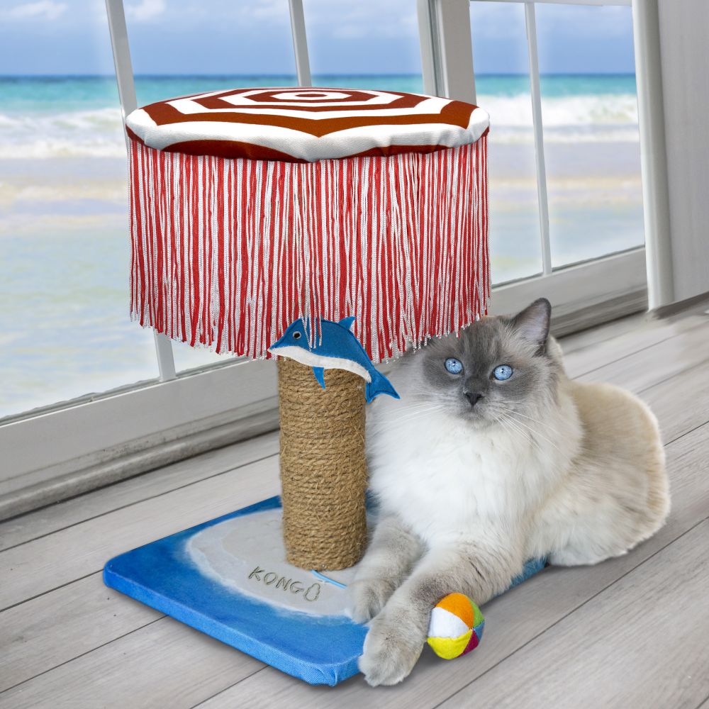 Kong hot sale scratching post
