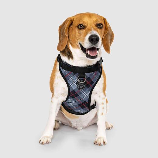 Canada pooch harness hotsell uk