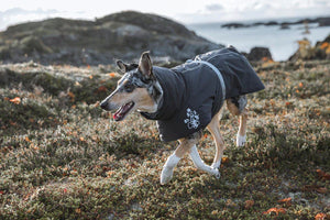Hurtta Extreme Warmer 2 Lingon Dog Jacket