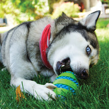 Load image into Gallery viewer, Kong Squeezz Goomz Football Dog Toy