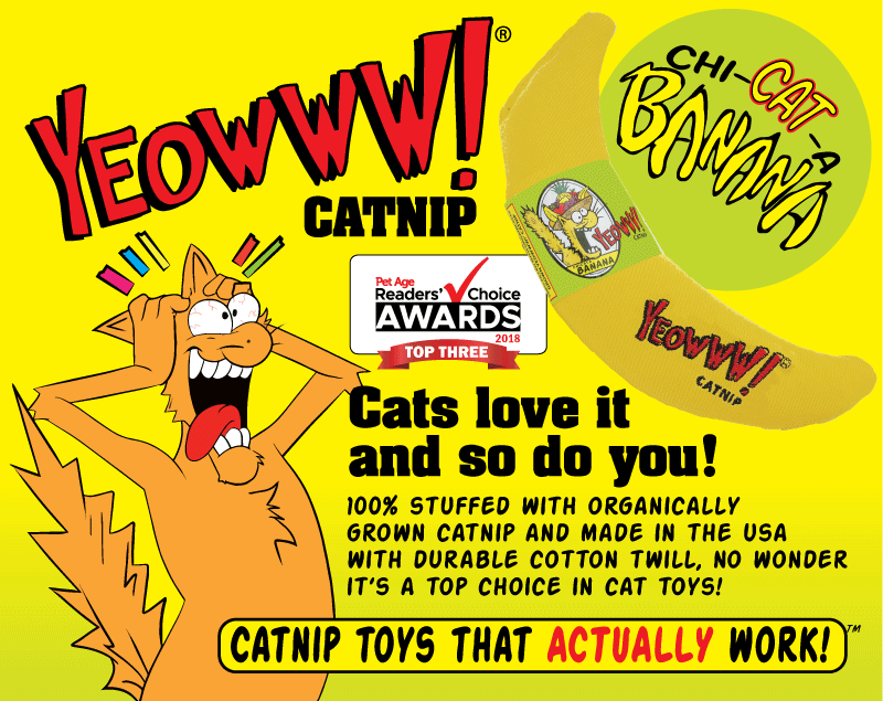Yeow sales cat toys