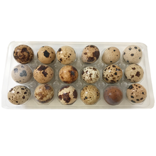 Load image into Gallery viewer, Big Country Raw Quail Eggs (Frozen) - 18 pk