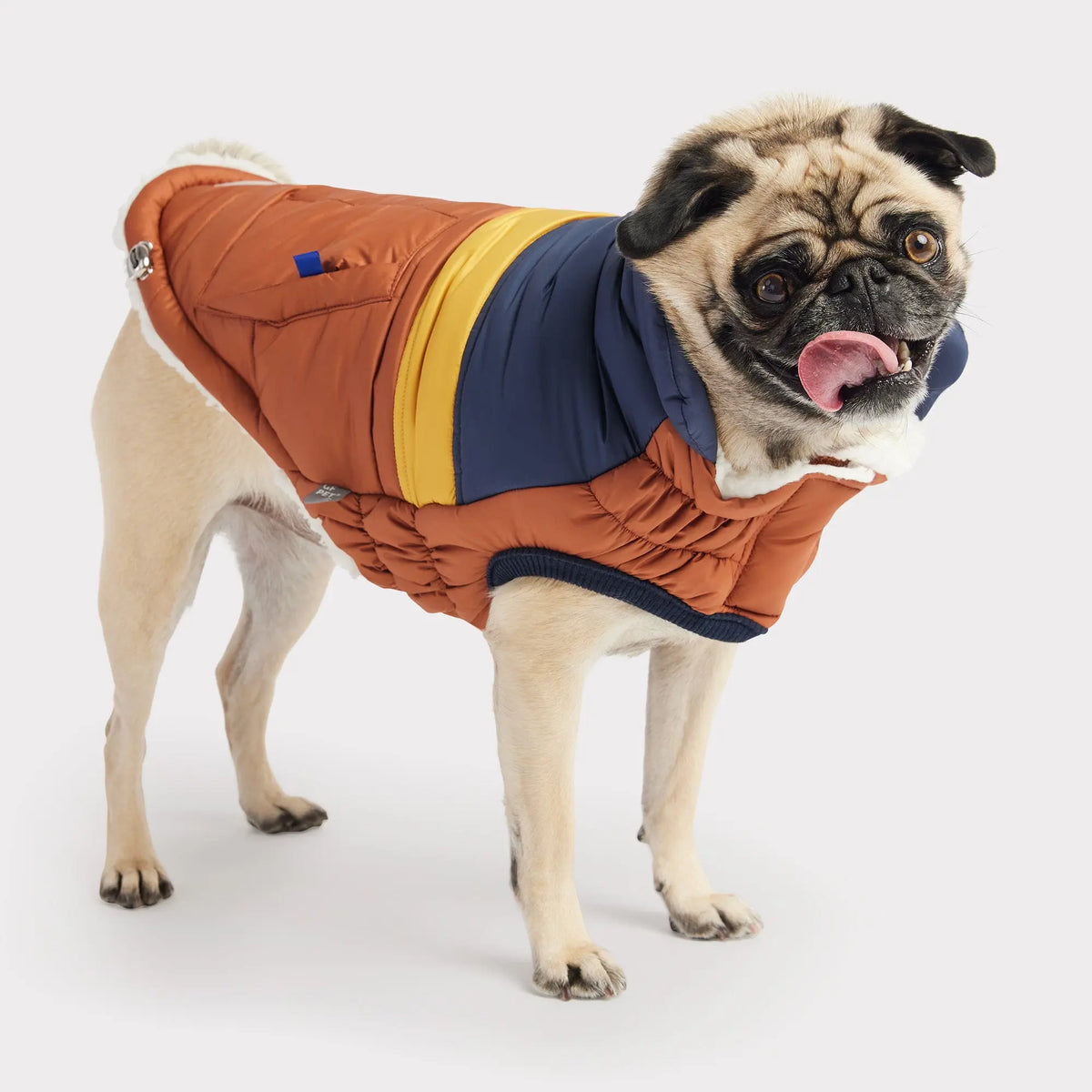 GF Pet Retro Puffer Hazel Dog Jacket Critters Pet Health Store