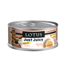 Load image into Gallery viewer, Lotus Grain-Free Just Juicy Pork Stew 150g Canned Cat Food