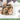 Assisting Your Cat in a Healthy Weight Loss Journey