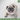 How can I get my dog to lose weight?