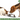 How to Correctly Switch Pet Foods