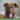 New Puppy? Here's how to pick a high-quality puppy food.