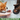 The 6 Types of Pet Food