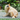 The Ultimate Guide to Understanding Dog Allergies