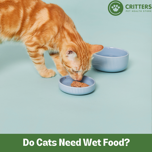 The Vital Role of Wet Cat Food in Your Feline Friend's Diet