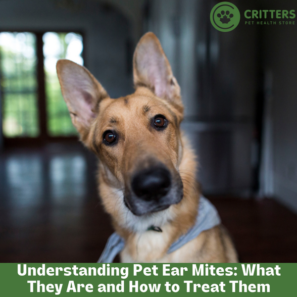 Understanding Pet Ear Mites: What They Are and How to Treat Them