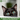 The Top Cat Treats: Choosing the Best Options for Your Feline Friend