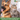 The Benefits of Probiotics for Dogs and Cats: Supporting Your Pet’s Health Naturally