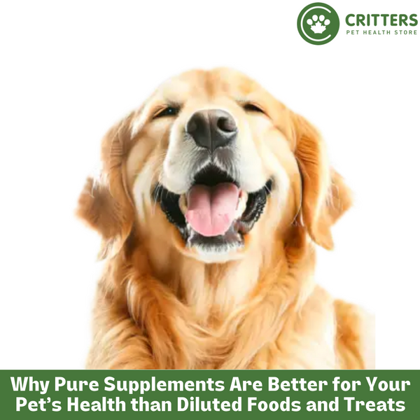 Why Pure Supplements Are Better for Your Pet’s Health than Diluted Foods and Treats