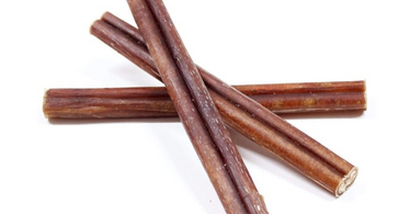 What Are Bully Sticks? The Benefits and Why Dogs Love Them