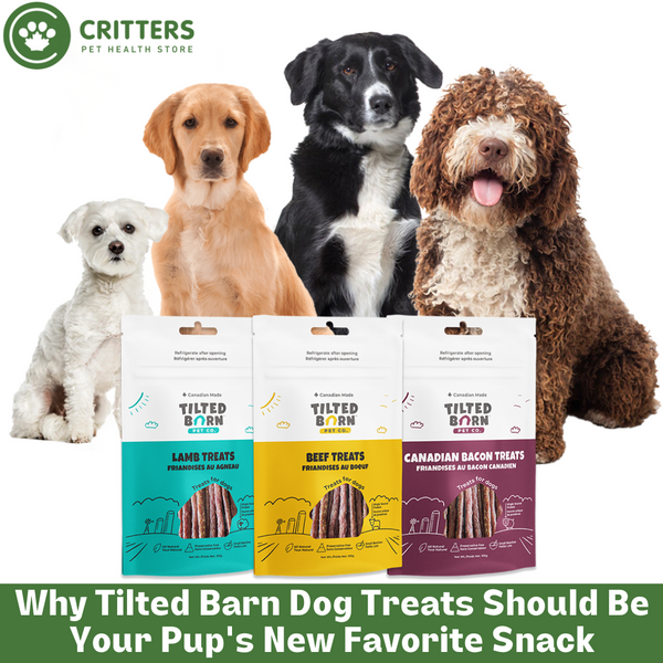 Why Tilted Barn Dog Treats Should Be Your Pup's New Favorite Snack