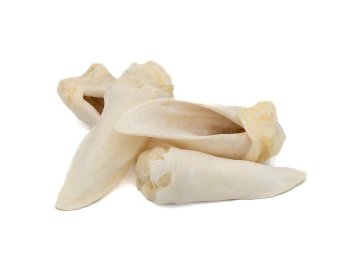 Lamb Ears