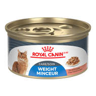 Royal Canin Feline Care Nutrition Weight Care Thin Slices in Gravy Canned Cat Food INDIVIDUAL 85g SKU 388