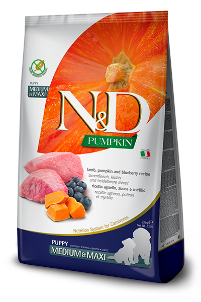 Farmina N&D Puppy Pumpkin, Lamb and Blueberry MED-MAXI Dog Food