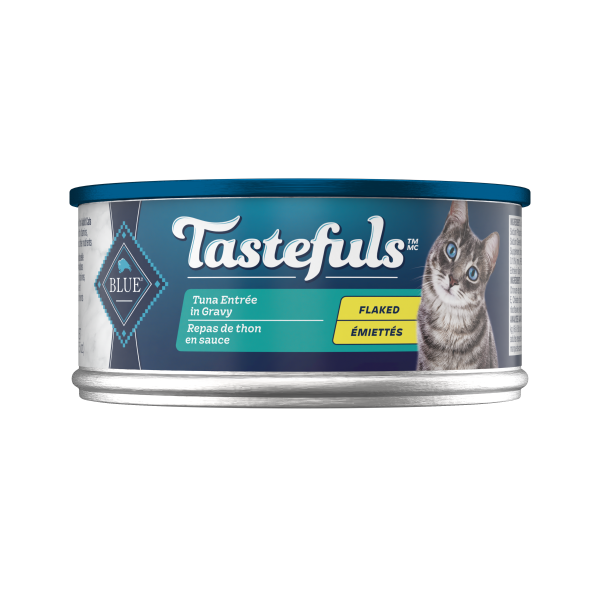 Blue wilderness mature cat food clearance