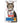 Hill's Science Diet Adult Oral Care Cat Food