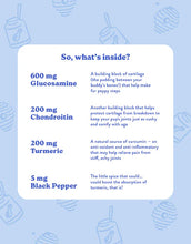 Load image into Gallery viewer, Bocce&#39;s Bakery Hip &amp; Joint Dog Supplements