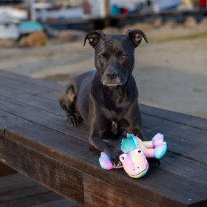 Canada Pooch Freeze & Chill Cooling Pal Rainbow Crocodile Dog Toy