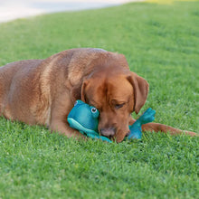 Load image into Gallery viewer, Canada Pooch Freeze &amp; Chill Cooling Pal Teal Frog Dog Toy