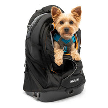 Load image into Gallery viewer, Kurgo G-Train Dog Carrier Backpack Black