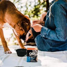 Load image into Gallery viewer, GO 354g Skin + Coat Care Shredded Chicken Canned Dog Food