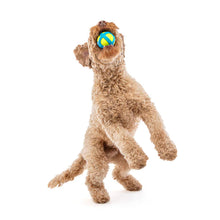 Load image into Gallery viewer, GURU Tennis Max Ball Dog Toy