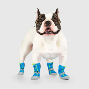 Canada Pooch Hot Pavement Blue Dog Boots