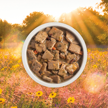 Load image into Gallery viewer, Acana 369g Premium Chunks Duck Recipe In Bone Broth Canned Dog Food