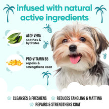 Load image into Gallery viewer, Buddycare Tropical 500ml Dog Shampoo