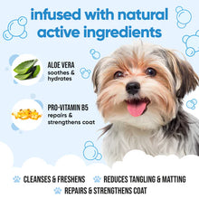 Load image into Gallery viewer, Buddycare Bubblegum 500ml Dog Shampoo