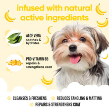 Load image into Gallery viewer, Buddycare Banana 500ml Dog Shampoo