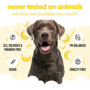 Buddycare Banana 500ml Dog Shampoo