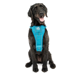 Kurgo Enhanced Strength Tru-Fit Car Dog Harness